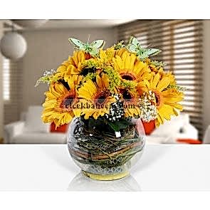 Cam Fanus İçine Sarı Gerbera Çiçeklerinden Hazırlanmış Aranjman