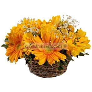 Örme Sepet İçine Sarı Gerbera ve Kır Çiçeklerinden Aranjman 