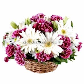 Sepet İçide Kokulu Karanfil ve Beyaz Gerbera