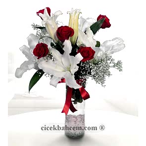Vazoda Kırmızı 5 Adet Gül ve Beyaz Lilyum SA426