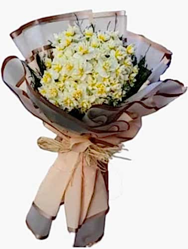 Kışın Kar Çiçek Sürprizleri ® NER101