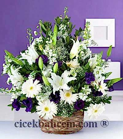 Beyaz Gerbera, Glayor ve Mor Lisyantus Aranjmanı 
