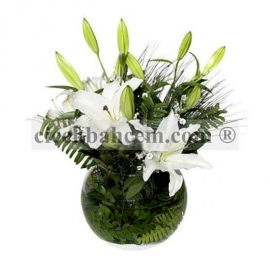 Cam Funus İçerisine Beyaz Kokulu Lilyum Aranjmanı