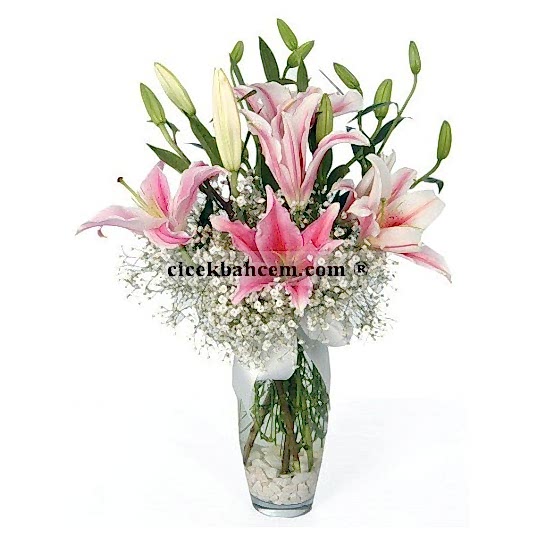 Cam Vazoda Cipso Çiçekleri ve Kokulu Pembe Lilyum Aranjmanı