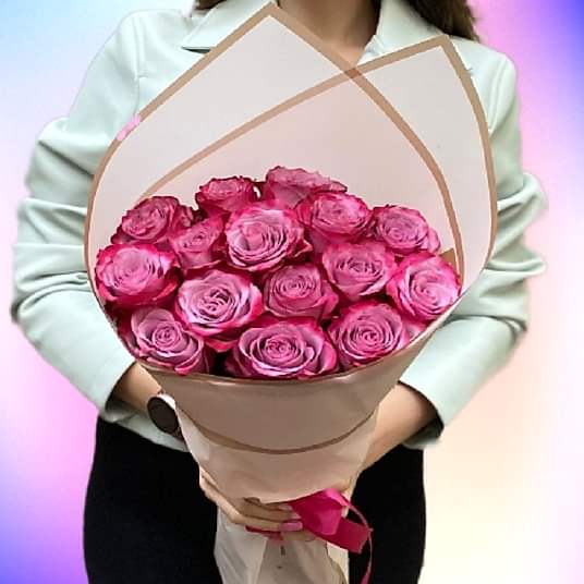 Enchanting Elegance 13 Dark Purple Roses 40-45 cm