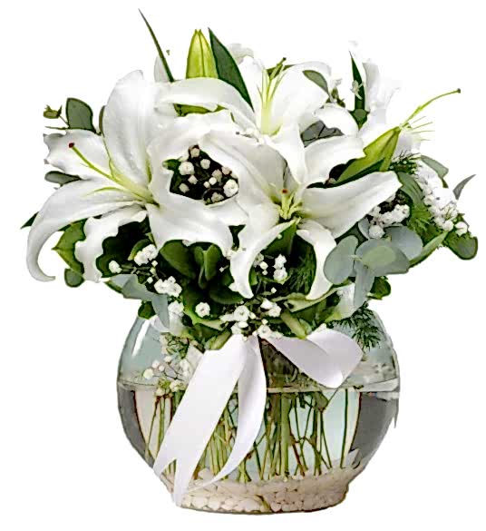 'Sevgi Yolu' Beyaz Çiçeklerle Hazırlanmış Aranjman