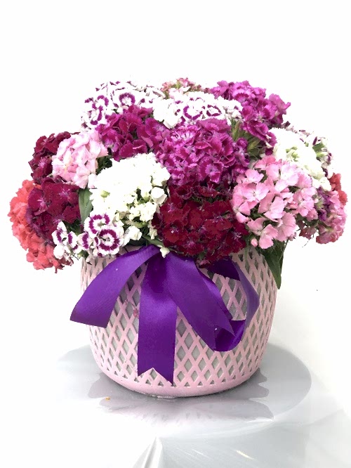 Taş El Yapımı Özel Vazoda Hüsnü Yusuf Çiçeği