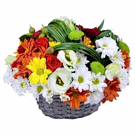 Tatlı Kış Süprizi