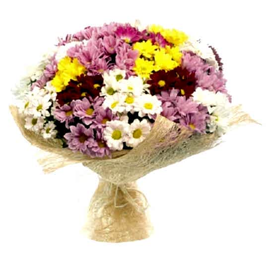 Karışık Krizantem Çiçeği, Papatya Buketi