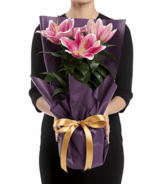 Özel Tasarım Saksıda Mis Kokulu Pembe Lilyum