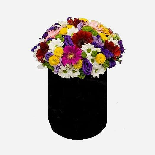 Kutu İçresinde Karışık Mevsim Çiçeği