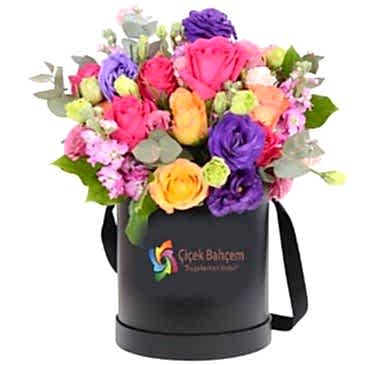 Kutu İçinde Mevsim Çiçekleri