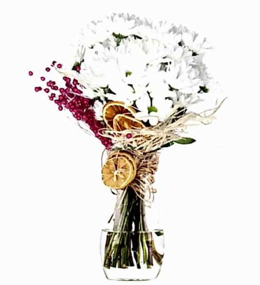 My Beautiful White Daisy