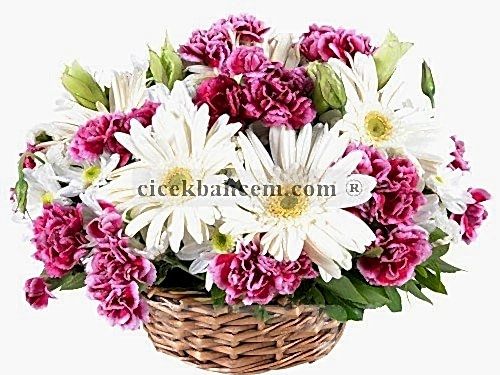 Sepet İçide Kokulu Karanfil ve Beyaz Gerbera