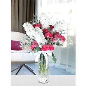 Silindir Cam Vazoda Kokulu Şebboy ve Pembe Karanfil Aranjmanı 