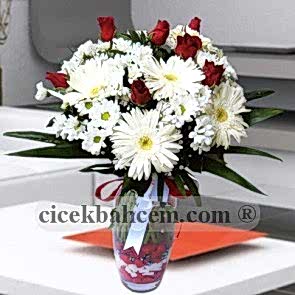 Beyaz Gerbera ve Kırizantem 5 Adet Kırmızı Gül SA496