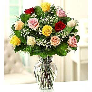 Gül Zarafet - Birinci Sınıf 13 Adet Renkli Güller GL205