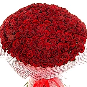 201 Adet Kırmızı Gül Buketi ''Sen - Benim Dünyasın''