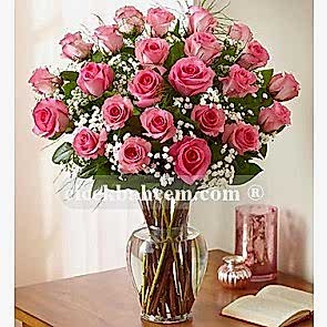 İrlanda Elegant ® 24 Adet Pembe Gül - Çiçek Bahçem- GL213