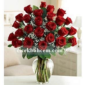 Elegant 27 Kırmızı Gül