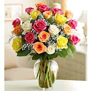 İki Düzine Premium Renkli Güller -24 Adet