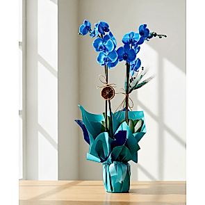 Mavi Orkide ® Blue Orkide