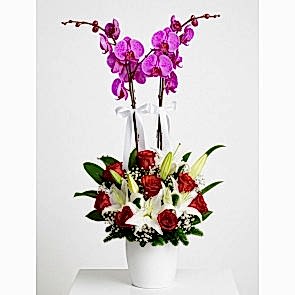 "Sevginin Kısa Adı" Pembe 2'li Orkide Lilyum 7 Gül