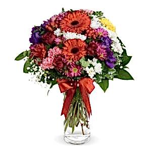 Vazoda Renkli KırÇiçekleri