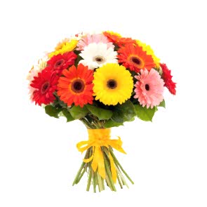 KARIŞIK JERBERA ALMAN PAPATYASI BUKETİ