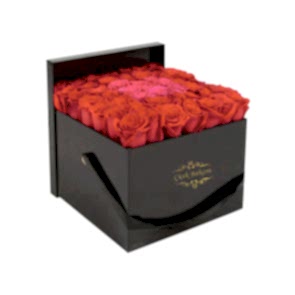 Siyah Kutuda 41 Kırmızı Pembe Gül