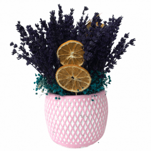 Özel Saksıda Dağ Lavantası