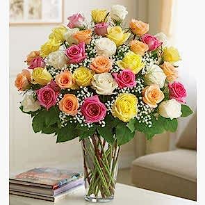 Aşk - 4 Düzine (48) Renkli Gül