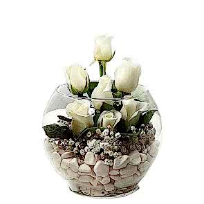 Akvaryum Vazoda 7 Adet Beyaz Gül