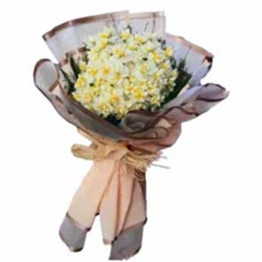 Kışın Kar Çiçek Sürprizleri ® NER101