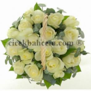 19 Adet Gül''Kar Beyaz Prenses