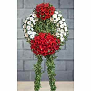 Kırmızı ve Beyaz Gerbera'dan Cenaze Merasim Çiçekleri