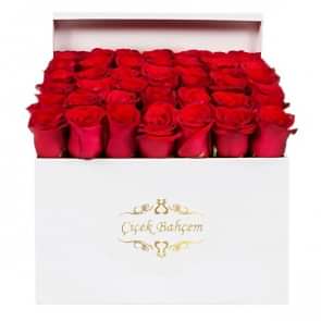 Beyaz Kare Kutuda 49 Kırmızı Gül