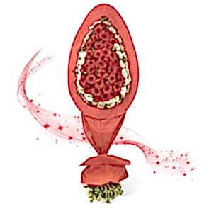 Açılış & Düğün Çiçeği - Ayaklı Sepet Beyaz Gerbera Çiçekleri 