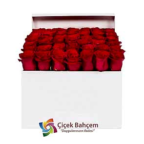 Beyaz Şık Kutu İçinde 41 Adet Kırmızı Gül