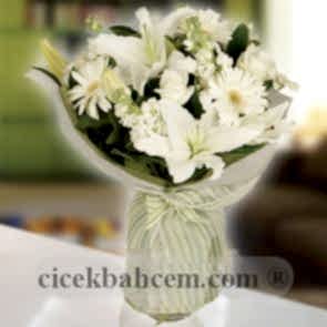 Beyaz Gül, Gerbera, Şebboy Buketi