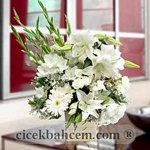 Beyaz Gerbera ve Beyaz Kokulu Lilyum