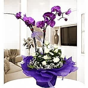 Beyaz Gül ve mor Orkide