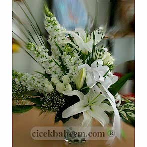 Beyaz Lilyum, Şebboy, Beyaz Gül Aranjmanı
