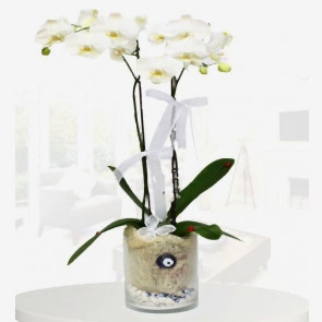 Nazar Değmesin Beyaz Orkide