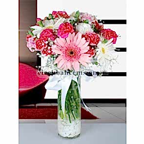 Beyaz, Pembe Gerbera ve Renkli Karanfil Aranjmanı