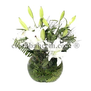 Cam Funus İçerisine Beyaz Kokulu Lilyum Aranjmanı