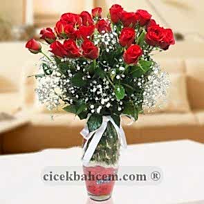 Cam Vazoda 25 Adet Kırmızı Gül