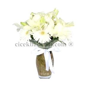 Sensiz Olmaz, Beyaz Gerbera ve Lilyum