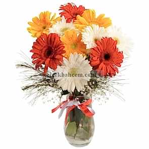 Cam Vazoda Papatya, Renkli Gerbera