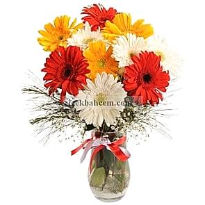 Cam Vazoda Papatya, Renkli Gerbera 